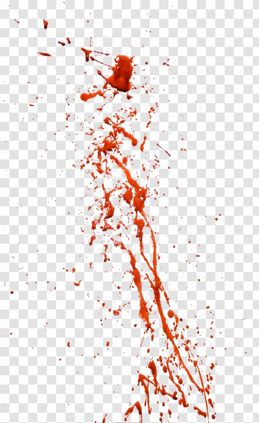 Blood Clip Art - Point Transparent PNG