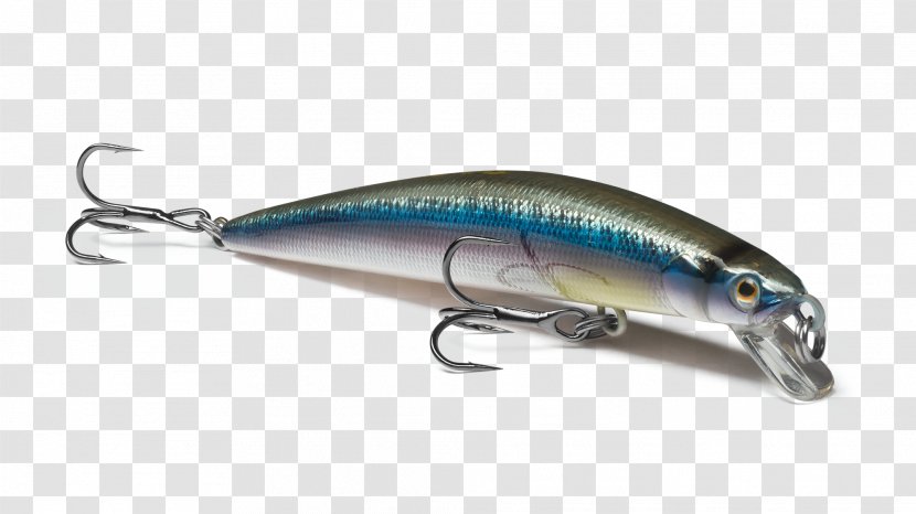 Sardine Spoon Lure Oily Fish Minnow Exempli Gratia - Bait - Fishing Transparent PNG