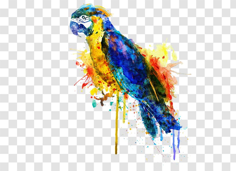Parrot Fine Art Watercolor Painting Bird - Perico Transparent PNG