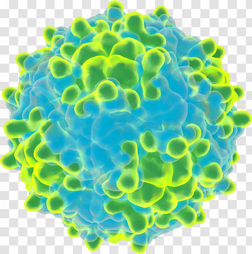 Rhinovirus Clip Art Virion - Viral Protein - Zika Virus Transparent PNG