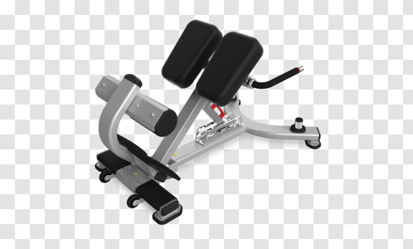 Hyperextension Bench Exercise Equipment Fitness Centre Physical - Lemond Transparent PNG