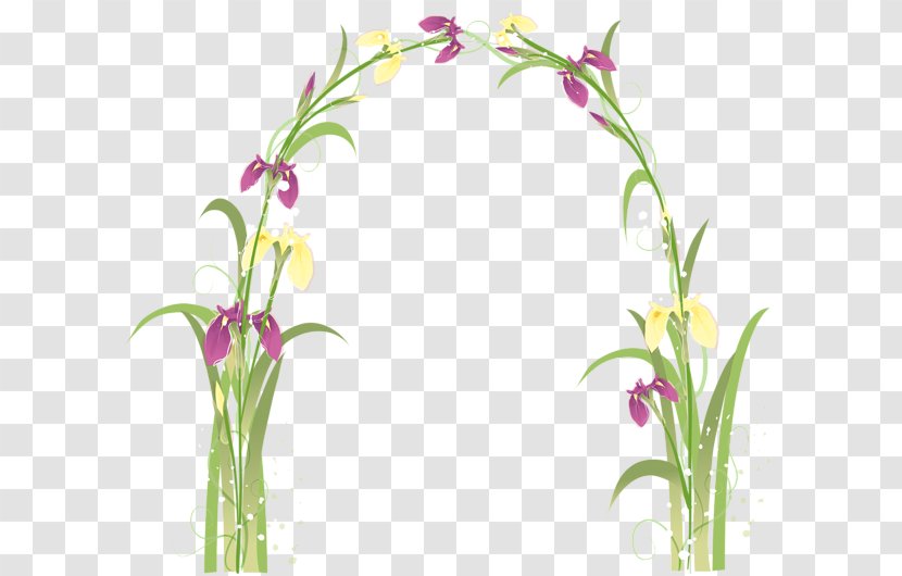 Clip Art - Flora - Flower Door Transparent PNG