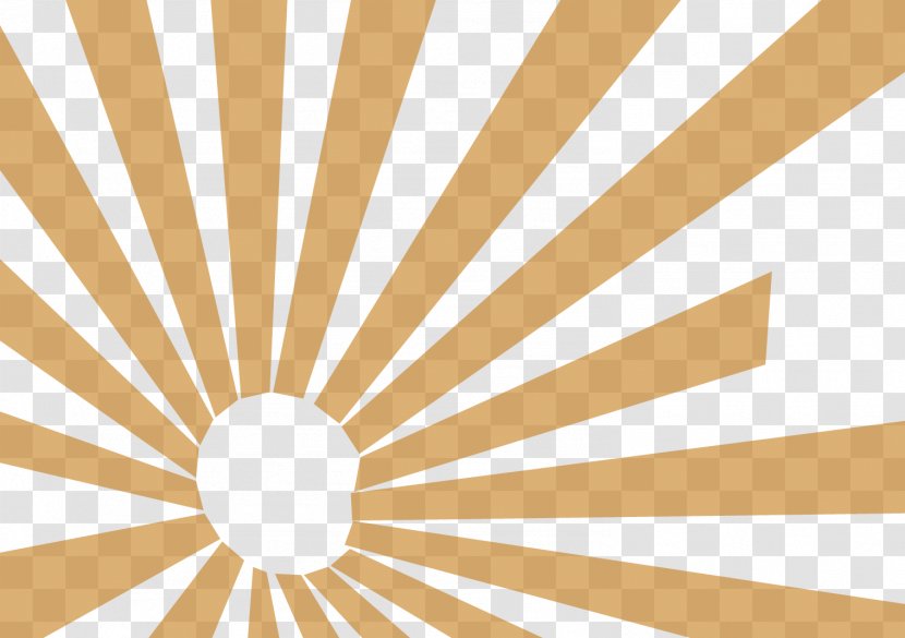 Sunlight Wallpaper - Halo - Sunshine Transparent PNG