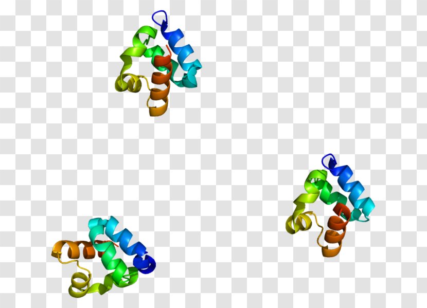 SHANK3 Protein Ankyrin Repeat Gene SH3 Domain - Silhouette - Shanks Transparent PNG