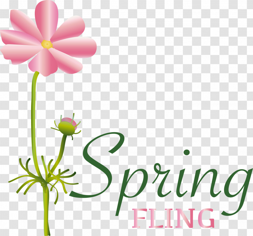 Floral Design Transparent PNG