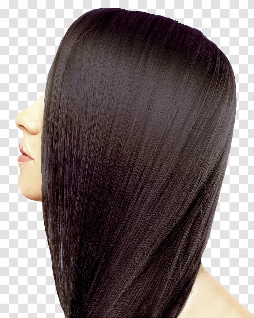 Black Hair Human Color Coloring Brown - Wig Transparent PNG