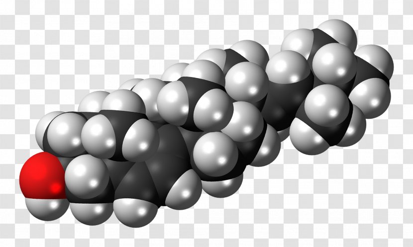 Cholesterol Molecule Fat Lipid Chemical Substance - Black And White - Fungi Transparent PNG