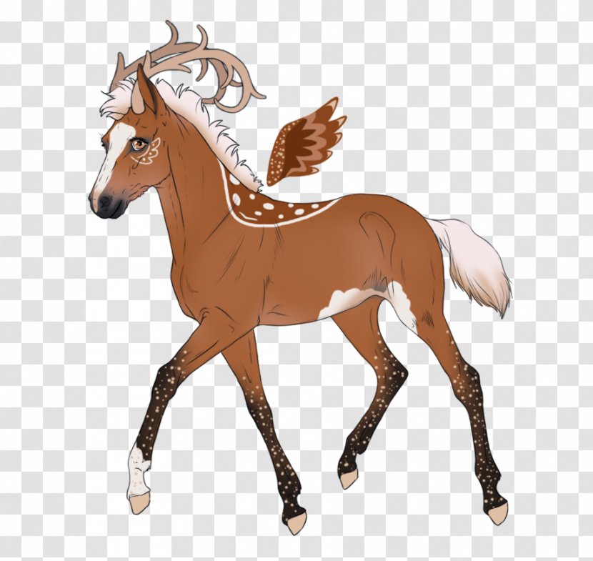 Mustang Morgan Horse American Paint Foal Stallion - Mammal Transparent PNG