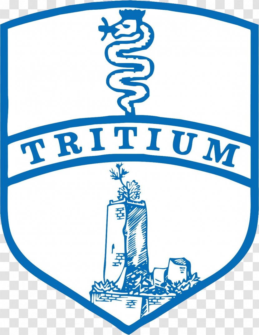 Tritium Calcio 1908 Trezzo Sull'Adda Aurora Pro Patria 1919 Football Coach Transparent PNG