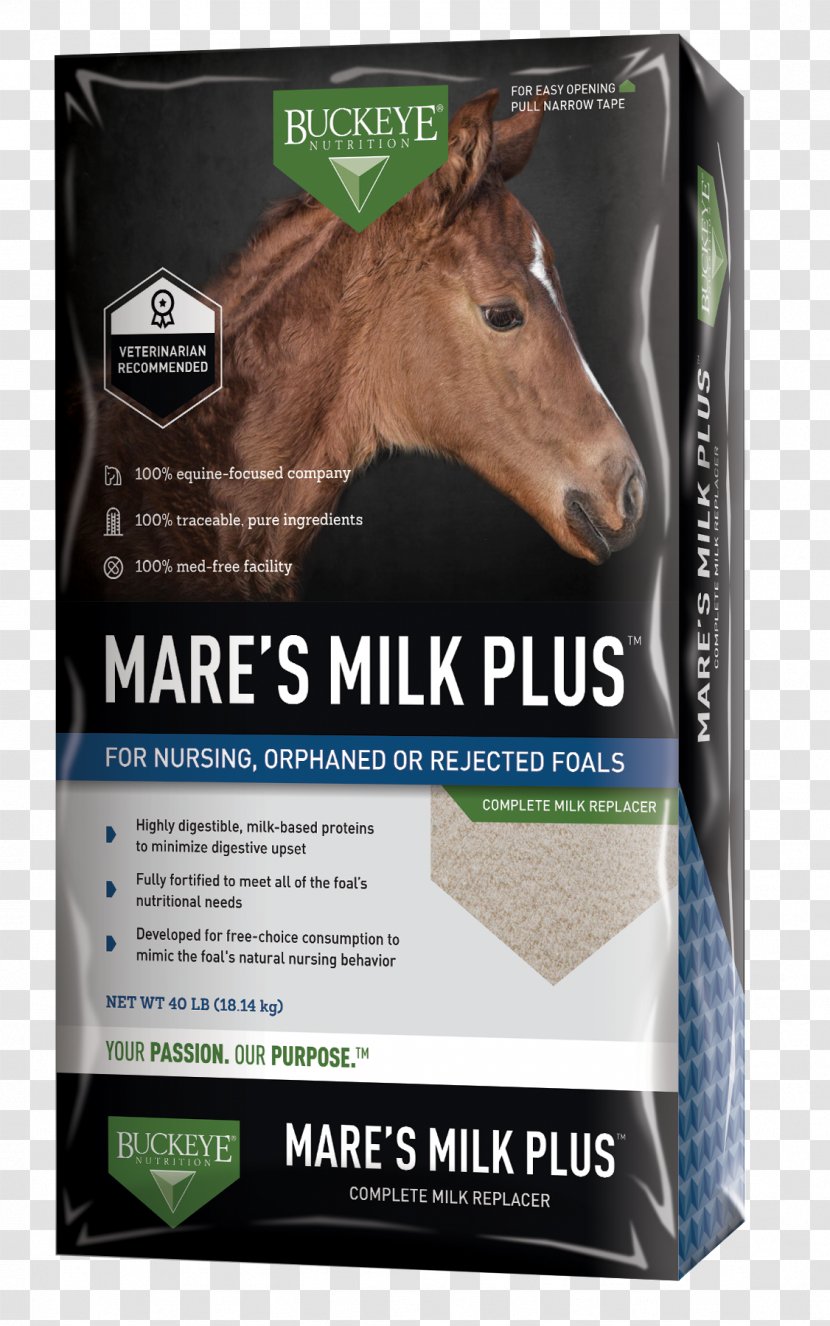 Horse Mare Milk Dietary Supplement Nutrition Transparent PNG