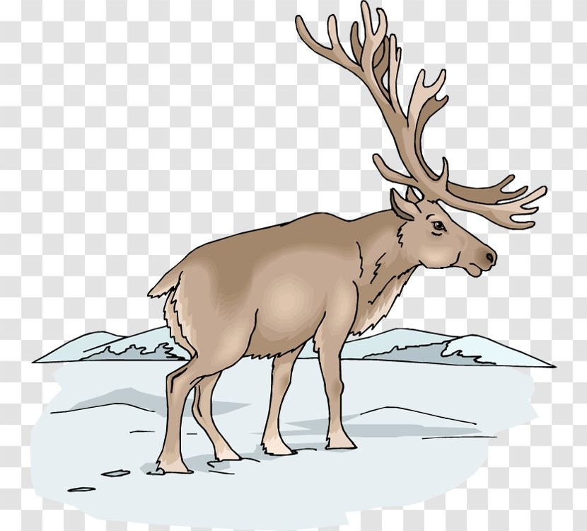 Moose Elk Deer Clip Art - Website - Winter Cliparts Transparent PNG