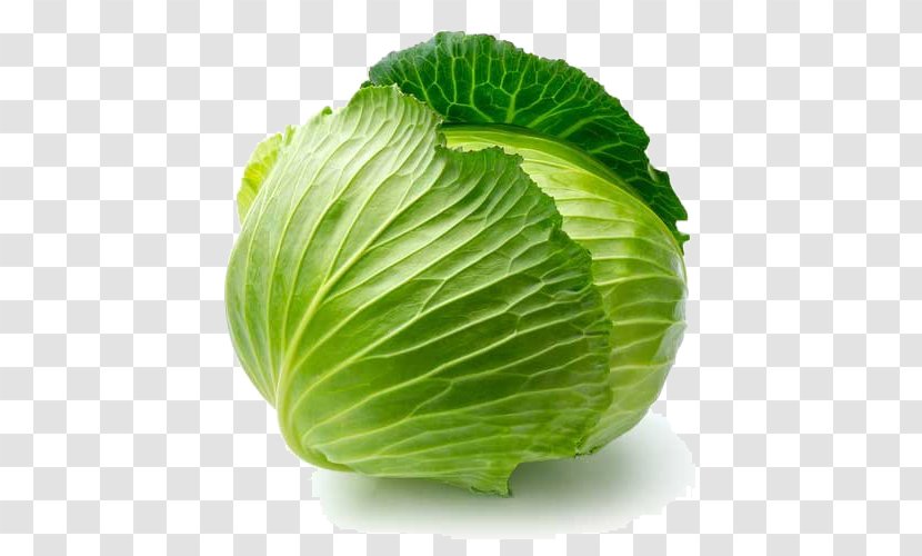 Organic Food Savoy Cabbage Leaf Vegetable - Romaine Lettuce Transparent PNG