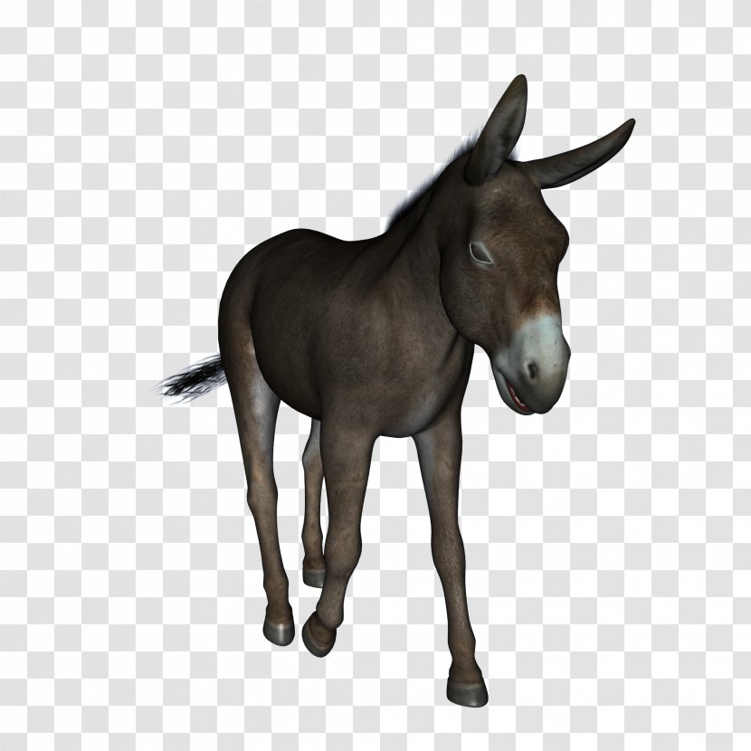 Mule Donkey Jennet - Horse Transparent PNG