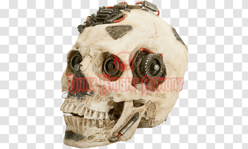 Skull Metallic Color Human Skeleton Transparent PNG