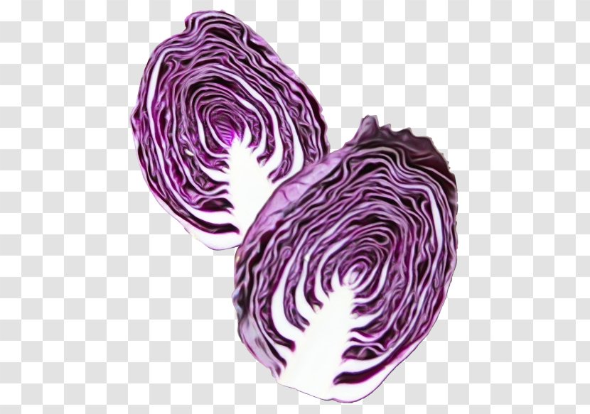 Purple Violet Vegetable Cabbage Red - Food Transparent PNG