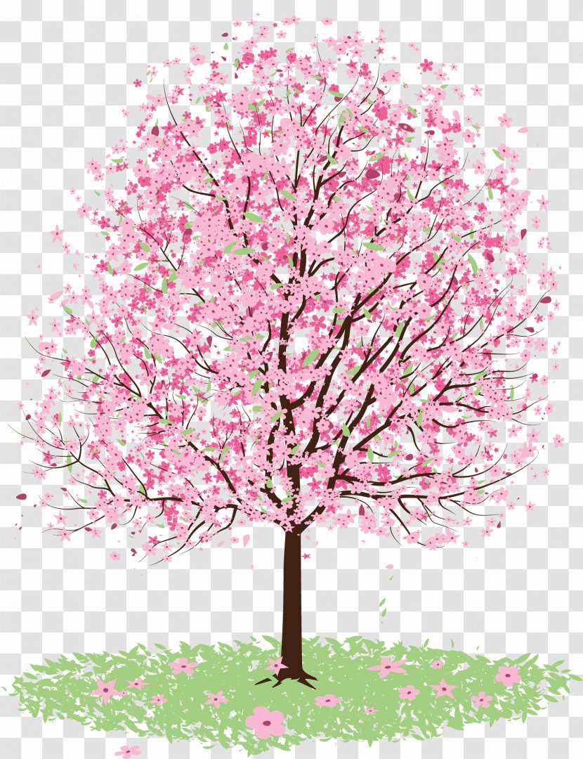 Cherry Blossom Tree Drawing - Branch Transparent PNG