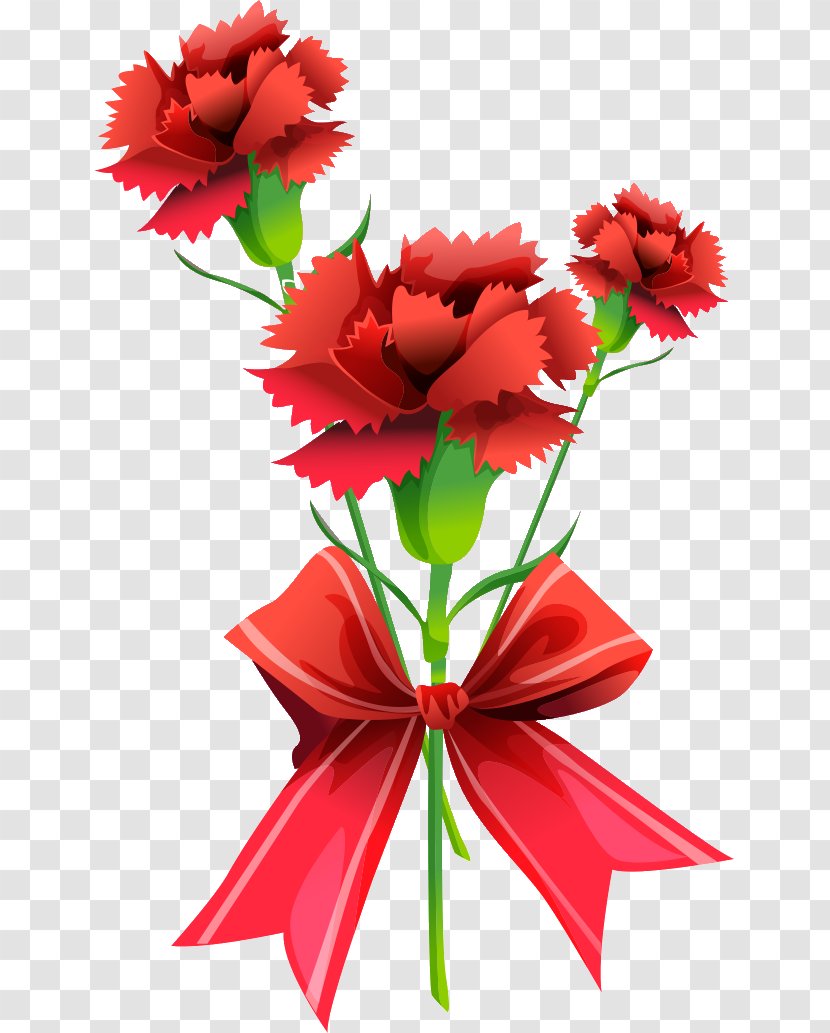 Carnation Flower No Clip Art - Bouquet Transparent PNG