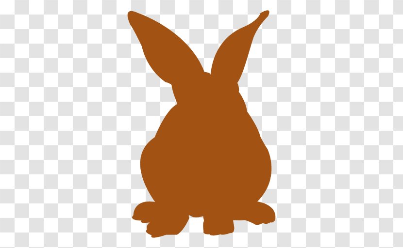 European Rabbit Easter Bunny Domestic - Photography - Vector Transparent PNG