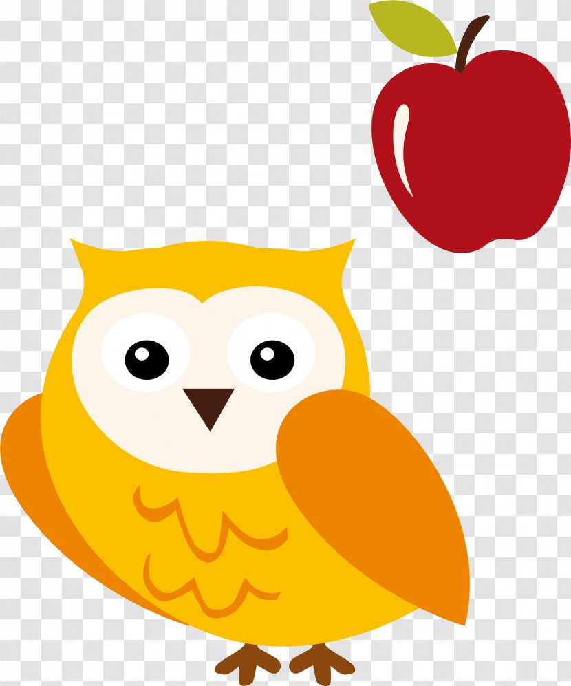 Owl Illustration - Beak - Vector Transparent PNG