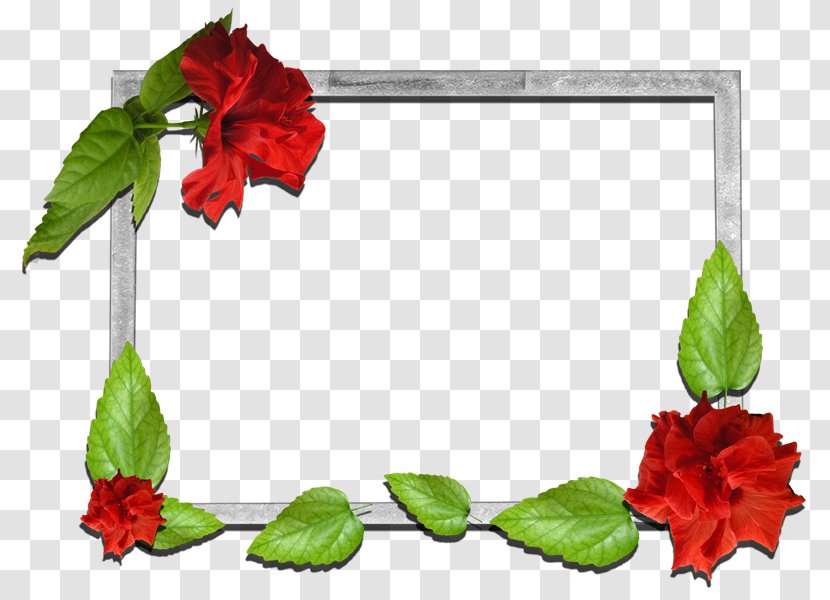 Picture Frames Flower Floral Design Photography - Gong Xi Fat Cai Transparent PNG