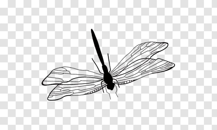 Butterfly Dragonfly Icon - Monochrome Photography - Black Hand Painted Transparent PNG