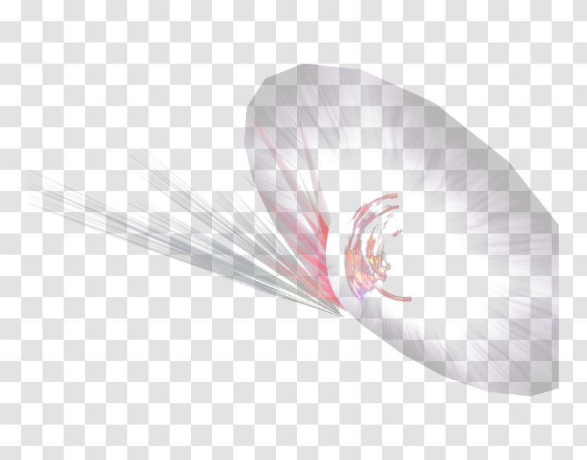 Close-up - Pink - White Transparent PNG