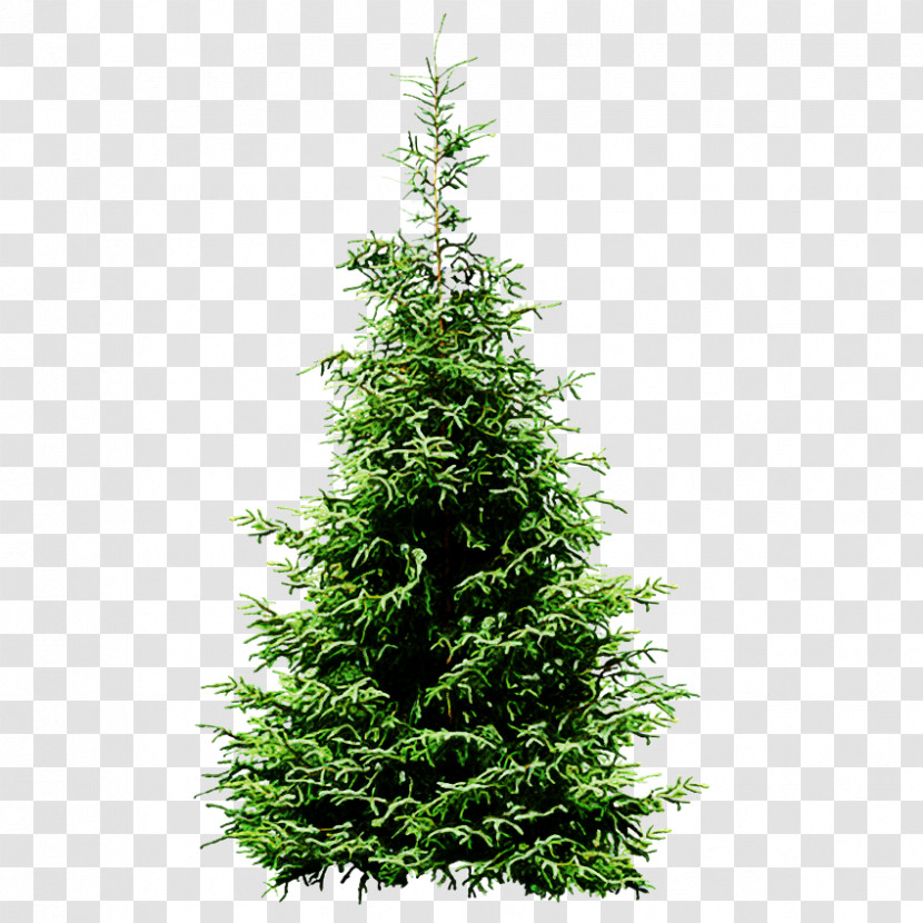 Christmas Tree Transparent PNG