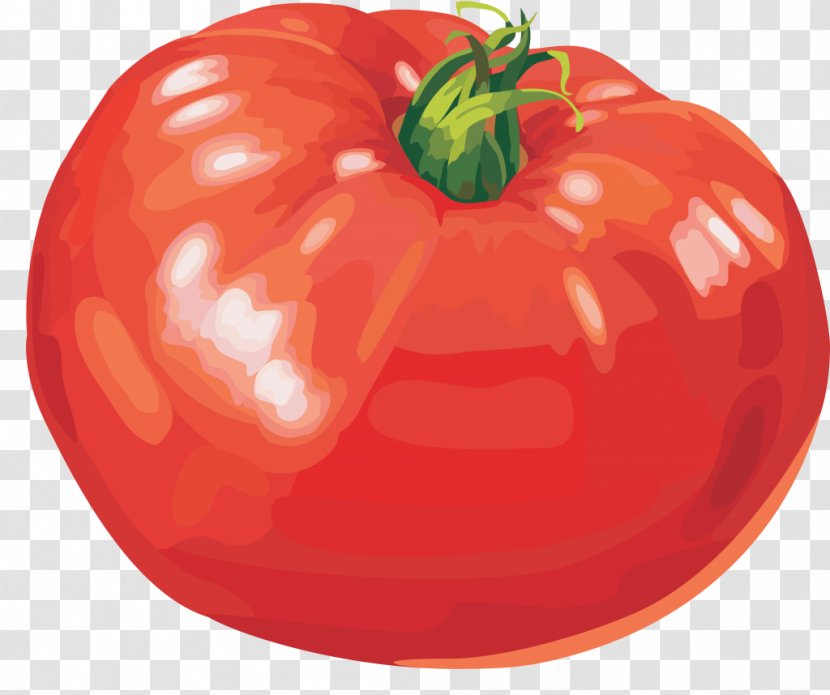 Cherry Tomato Vegetable Bolognese Sauce Shchi Ragout - Spaghetti Transparent PNG