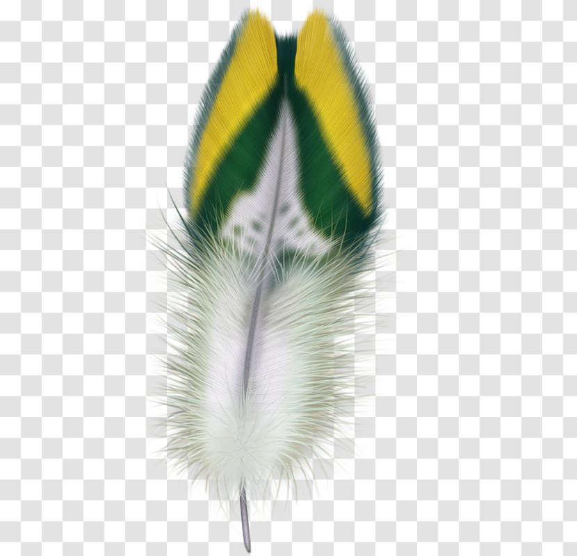 Feather Clip Art Bird Digital Image - Plumas Transparent PNG