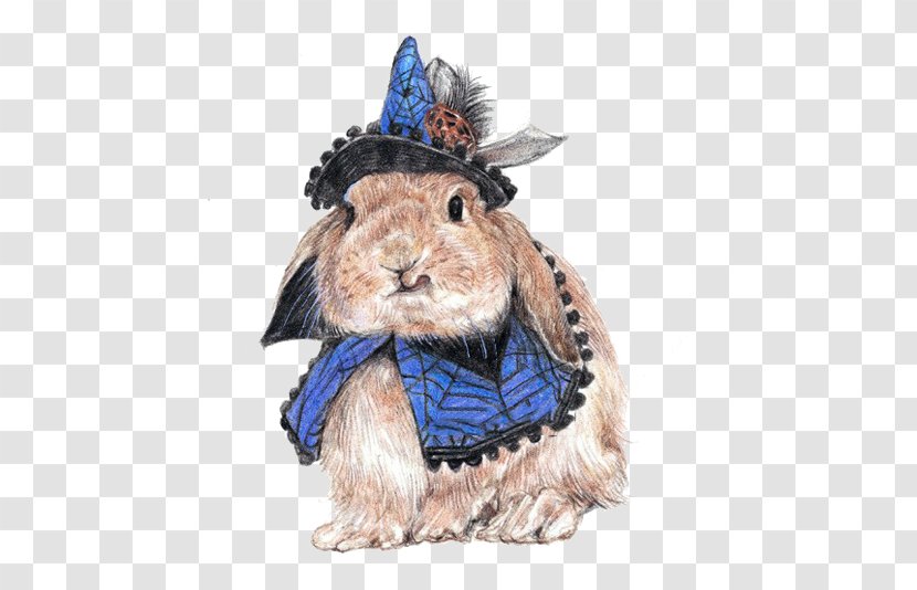 Rabbit Hare Colored Pencil Animal Illustration Transparent PNG