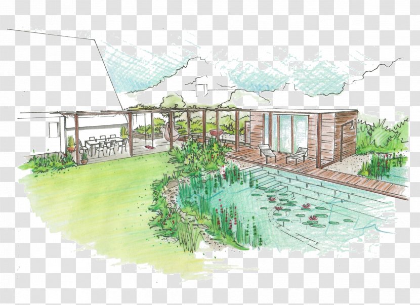 Baignade Biologique Gestalten Mit Pflanzen Cottage Garden Landscape Architecture - Swimming Pools - Cylindropuntia Fulgida Transparent PNG