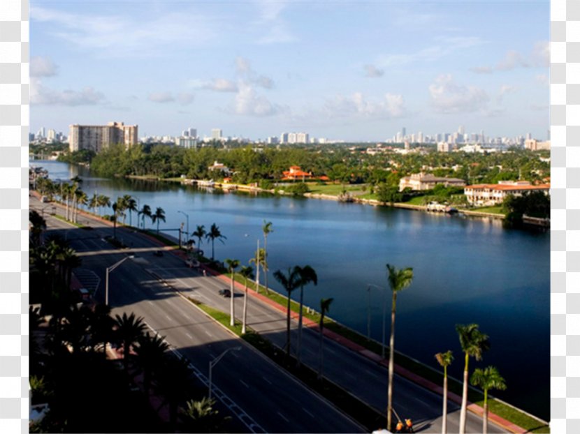 Miami Beach Resort & Spa Hotel Recreation Transparent PNG