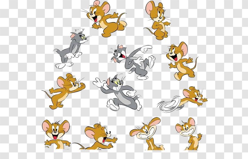 Jerry Mouse Tom Cat And - Crazy Transparent PNG