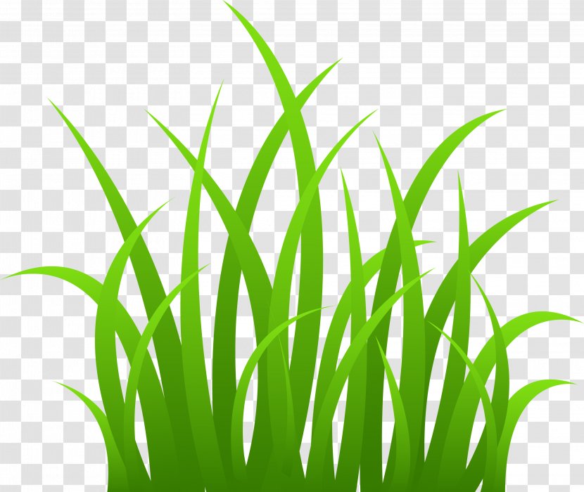 Clip Art - Sweet Grass - Image, Green Picture Transparent PNG