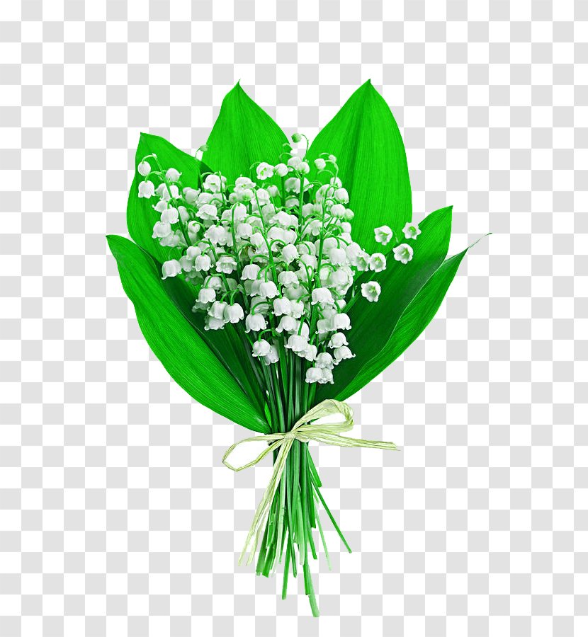 Lily Of The Valley Flower Bouquet Stock Photography Lilium - Can Photo Transparent PNG