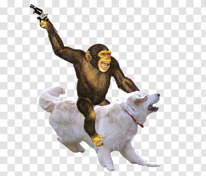 Monkey Ape Primate Simian - Picmonkey Transparent PNG