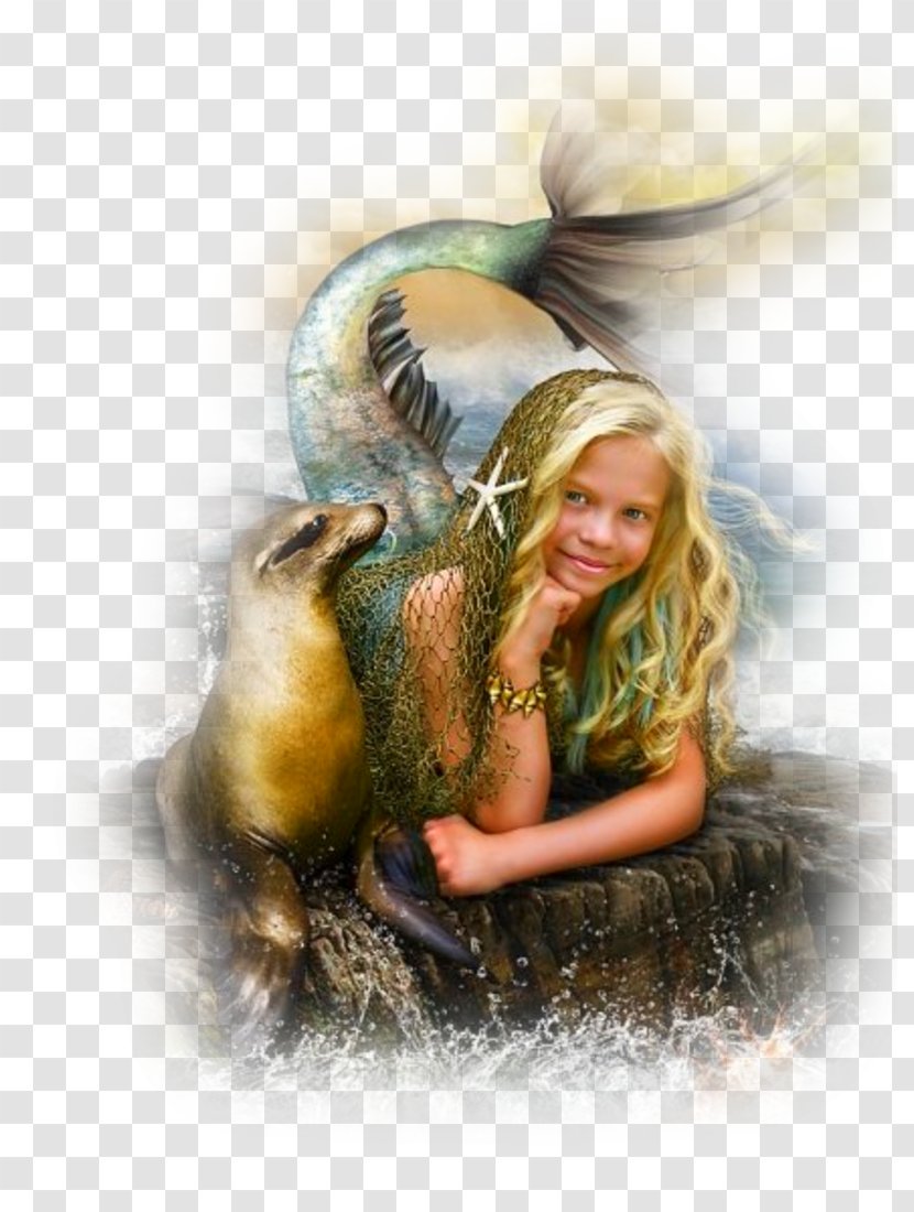 Art Fantasy Fairy Cornerstone Photography - Flower Transparent PNG