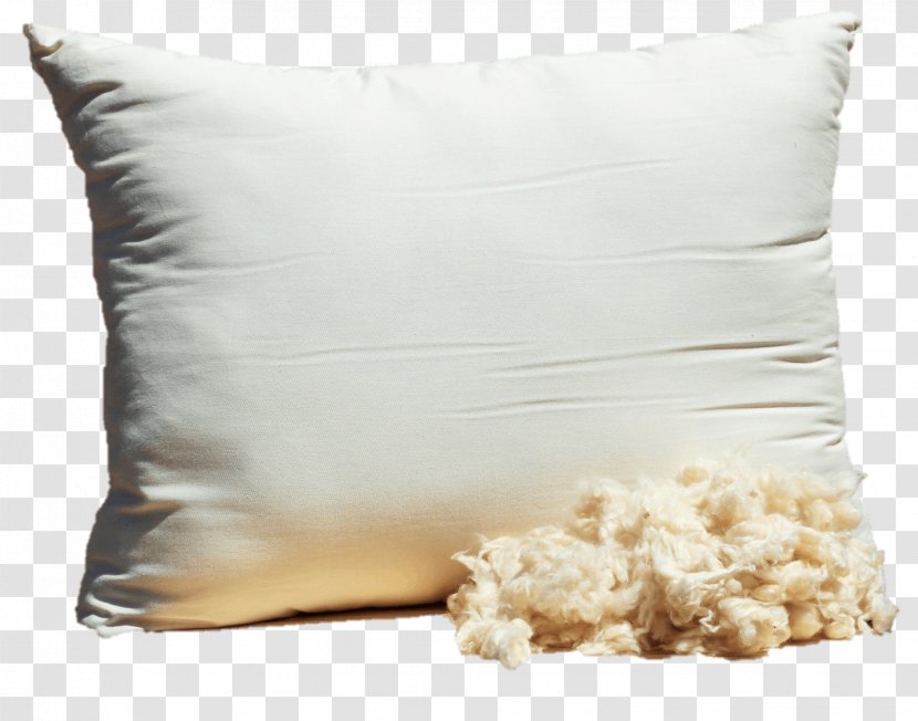Organic Cotton Kapok Tree Pillow - Certification - Holding A Transparent PNG