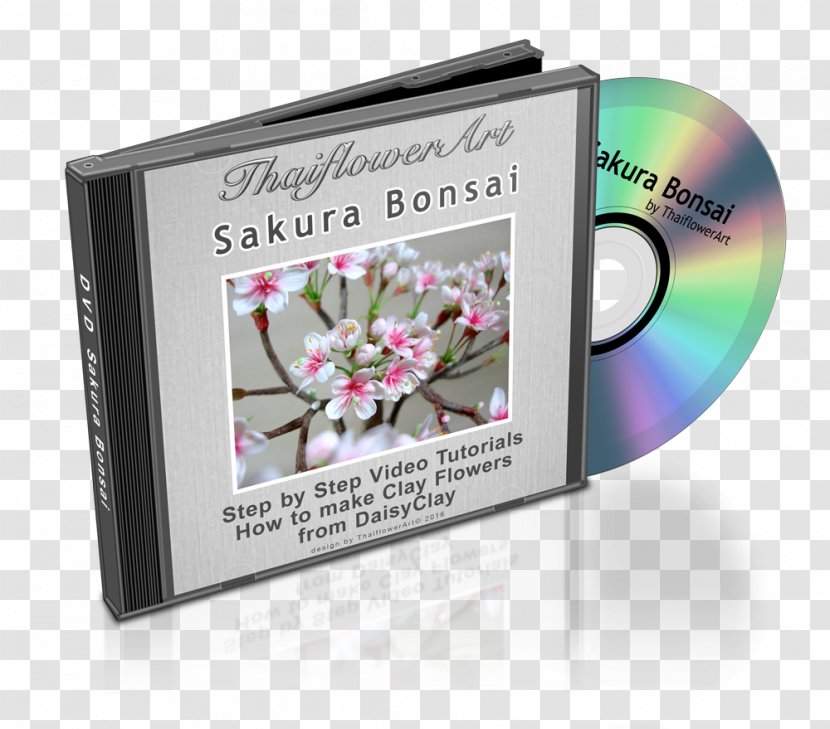 Image Sing-A-Longs And Lullabies For The Film Curious George DVD Stock Illustration Compact Disc - Multimedia - Sakura Bonsai Transparent PNG