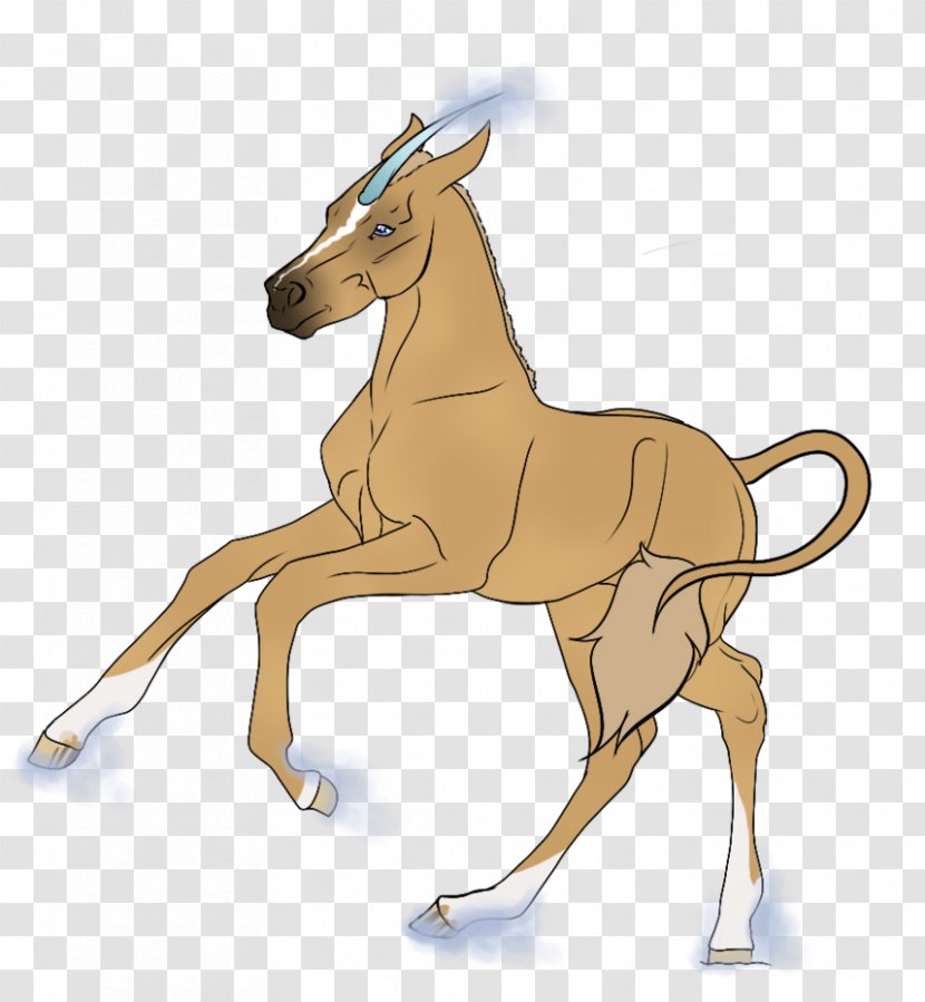 Mule Foal Mustang Stallion Mane Transparent PNG