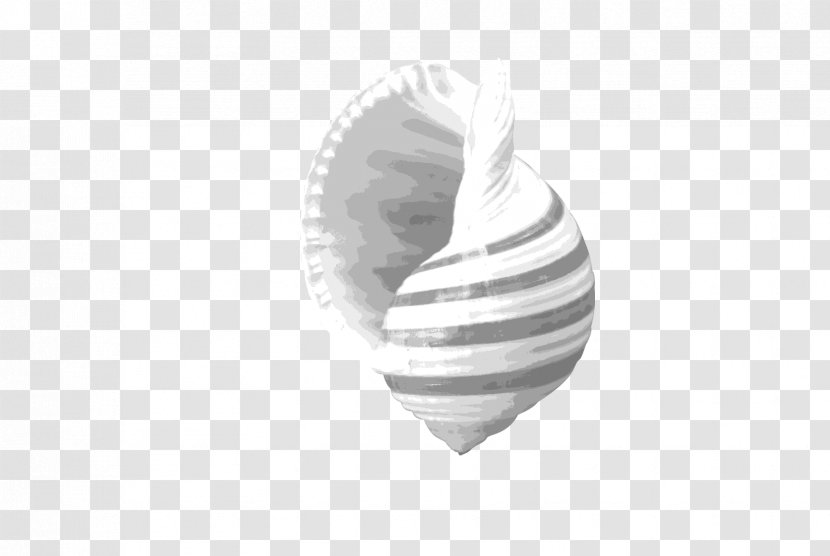Black And White Pattern - Conch Transparent PNG