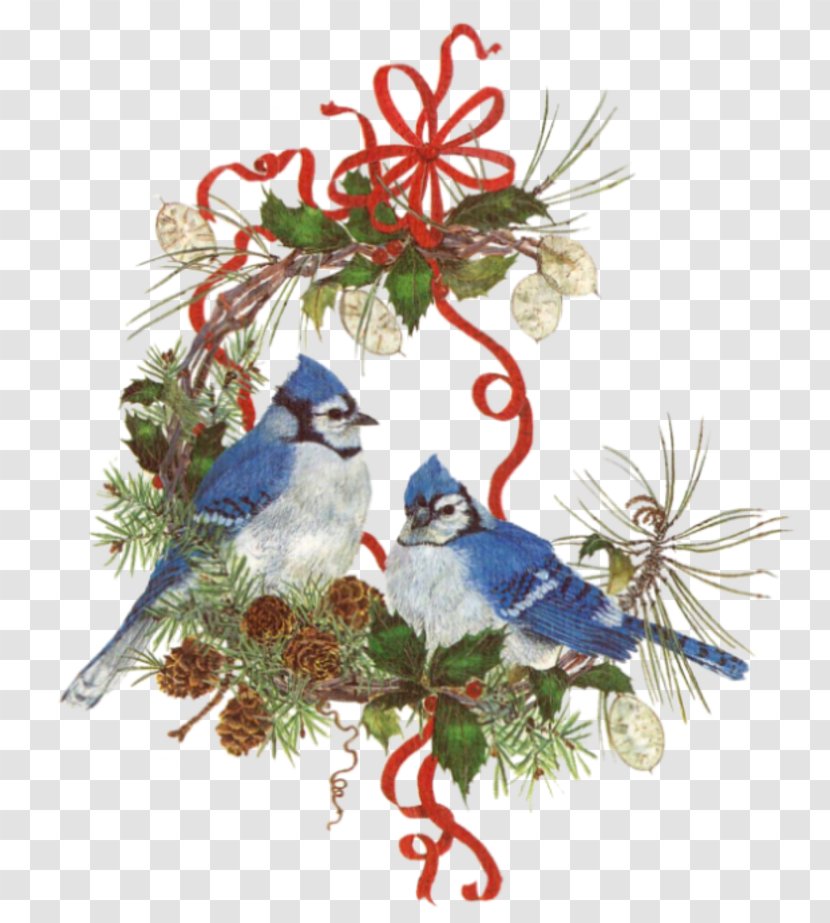 Bird Christmas Ornament Decoration - Cartoon - J Transparent PNG