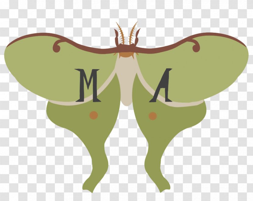 Moth Wing Insect Clip Art - Silhouette Transparent PNG