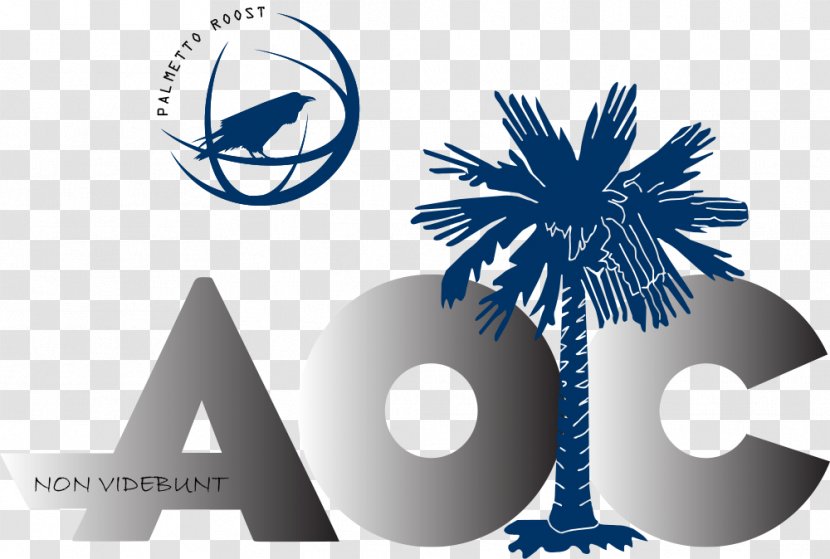 Sabal Palm Flag Of South Carolina Arecaceae Palmetto Properties Mb Business Transparent PNG
