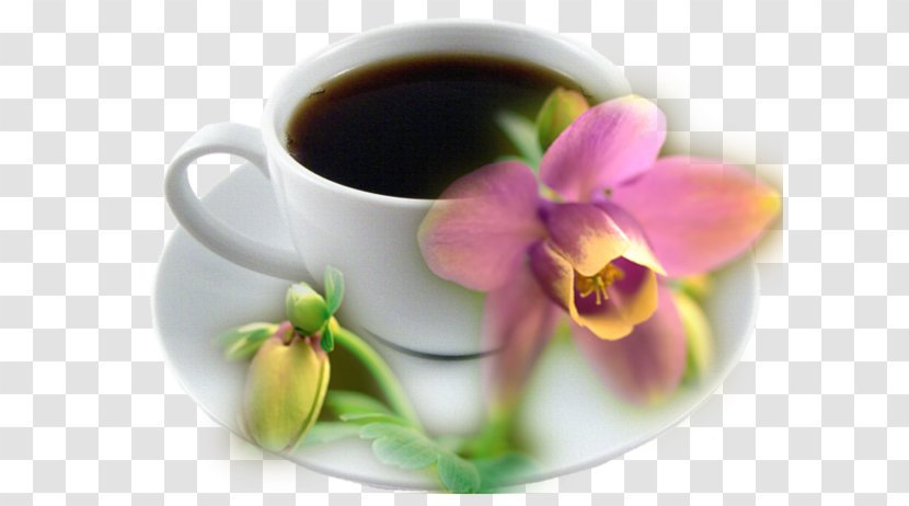 Coffee Morning Wednesday - Greeting - Cup Brown Sugar Pink Flowers Transparent PNG