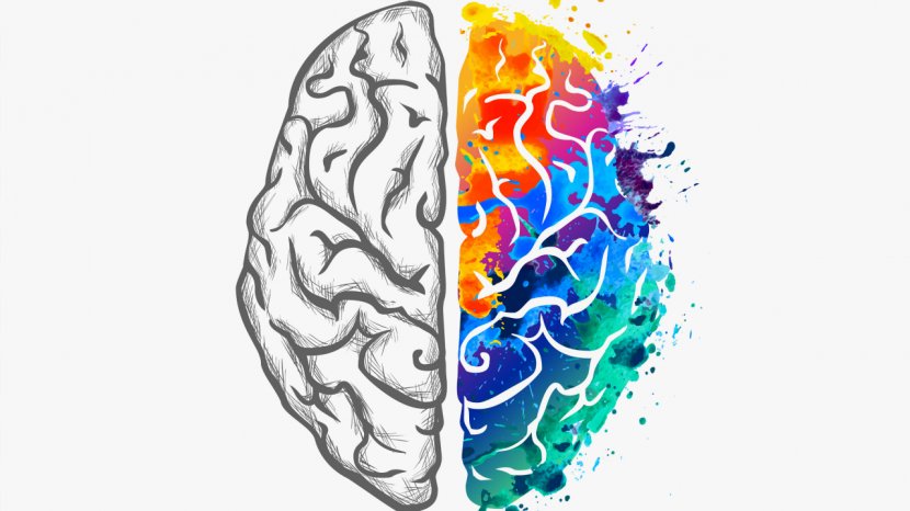 Human Brain Thought Creativity Cognitive Science - Watercolor Transparent PNG