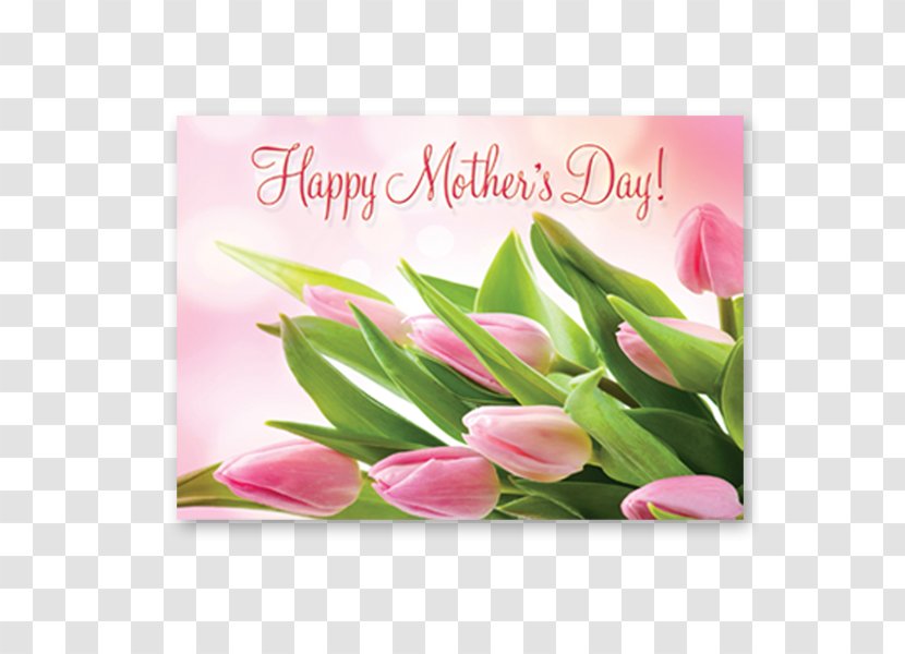 Mother's Day Floral Design Gift Tulip - Petal Transparent PNG