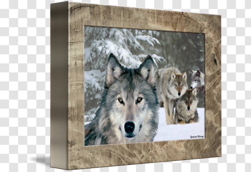Wolfdog Coyote Gray Wolf PlayStation 4 Decal - Sony Transparent PNG