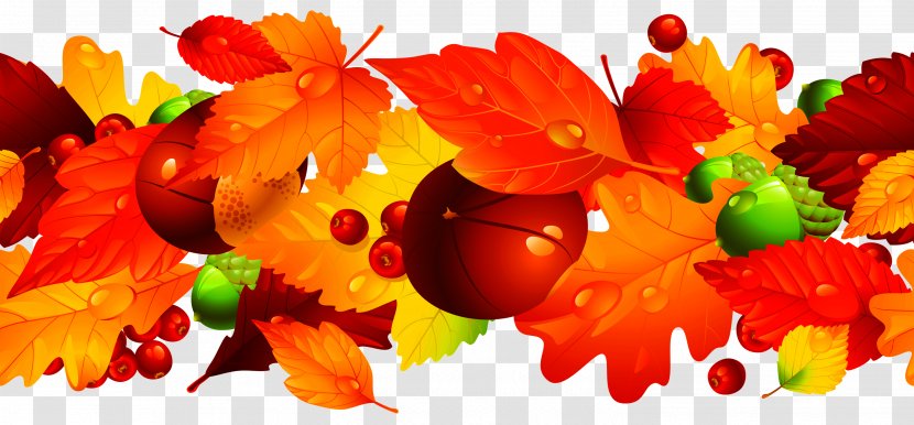 Autumn Fruit - Gostinyy Dvor - Flower Transparent PNG