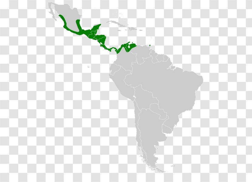 Latin America South Central Caribbean United States - Water Transparent PNG